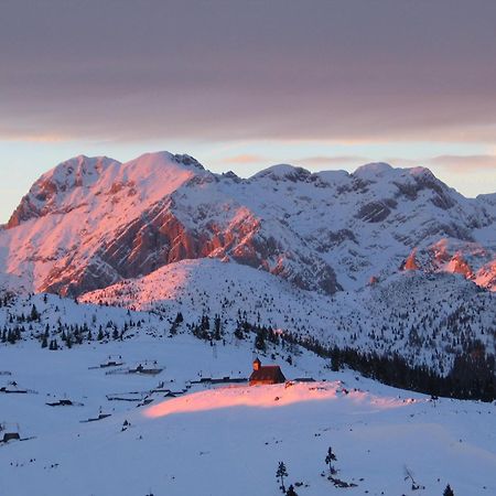 Velika Planina - Chalet Stane - Alps Stahovica Extérieur photo