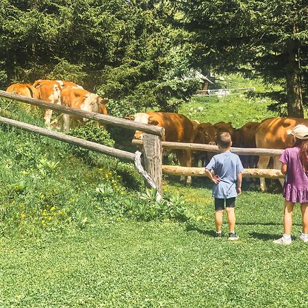 Velika Planina - Chalet Stane - Alps Stahovica Extérieur photo