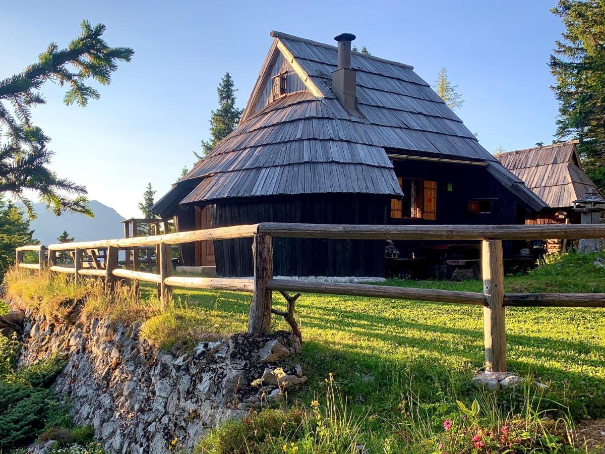 Velika Planina - Chalet Stane - Alps Stahovica Extérieur photo