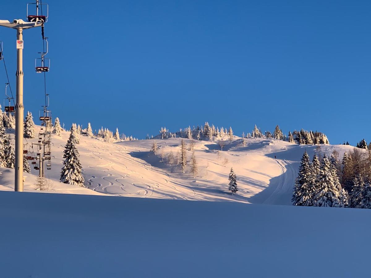 Velika Planina - Chalet Stane - Alps Stahovica Extérieur photo