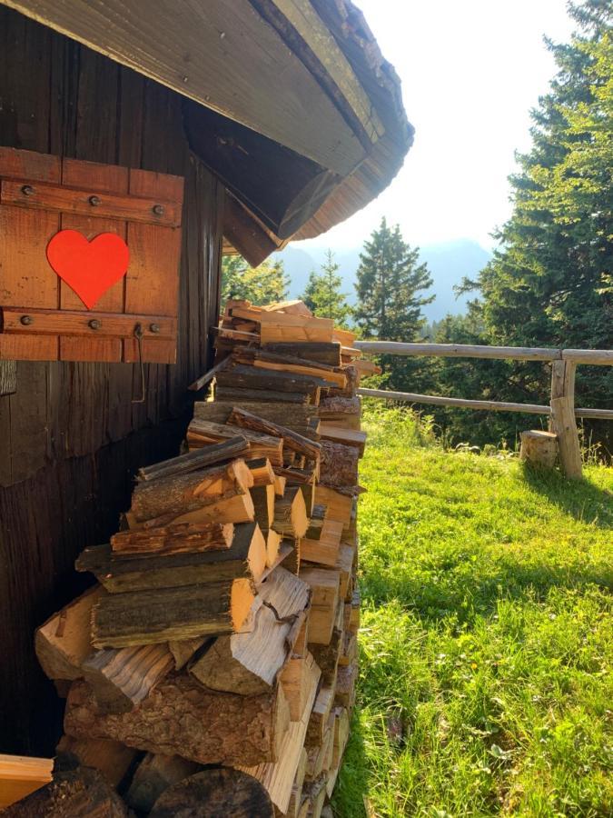 Velika Planina - Chalet Stane - Alps Stahovica Extérieur photo