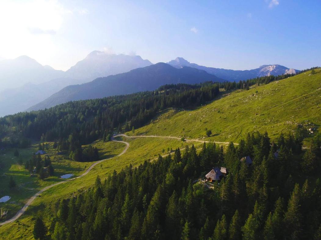Velika Planina - Chalet Stane - Alps Stahovica Extérieur photo