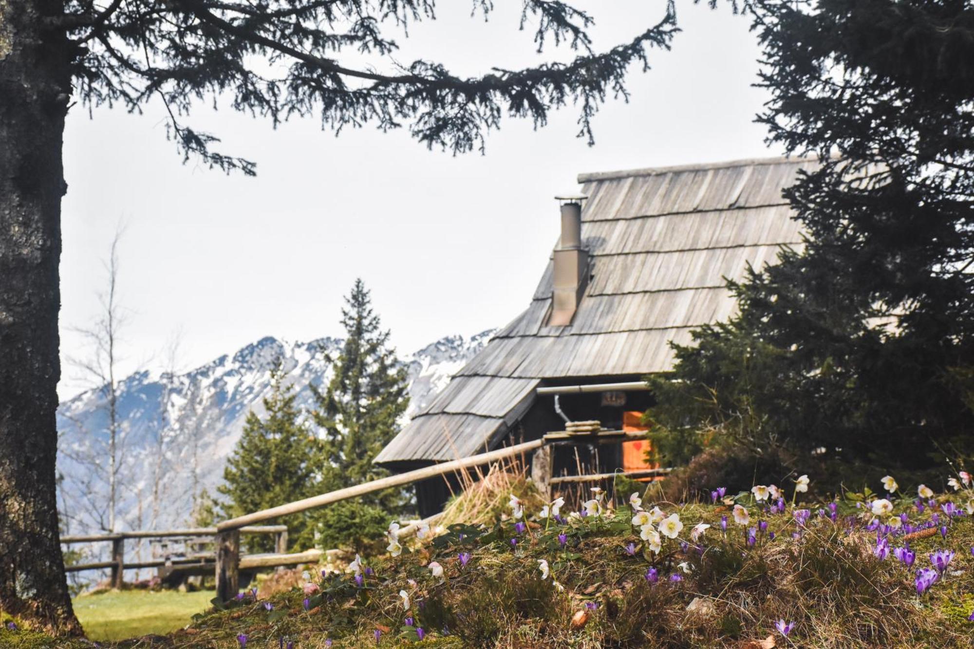 Velika Planina - Chalet Stane - Alps Stahovica Extérieur photo