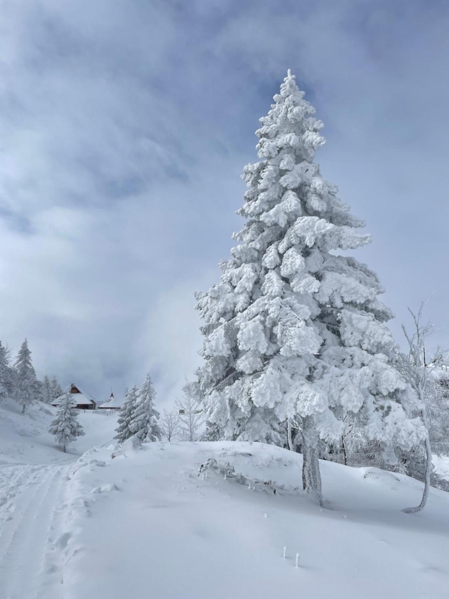 Velika Planina - Chalet Stane - Alps Stahovica Extérieur photo