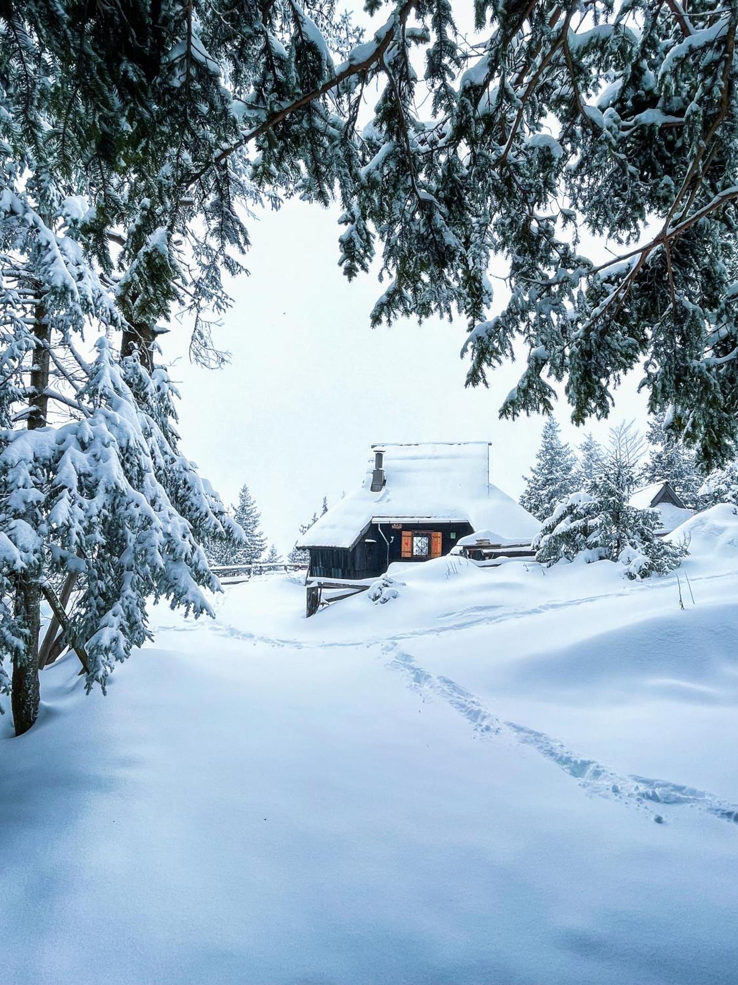 Velika Planina - Chalet Stane - Alps Stahovica Extérieur photo