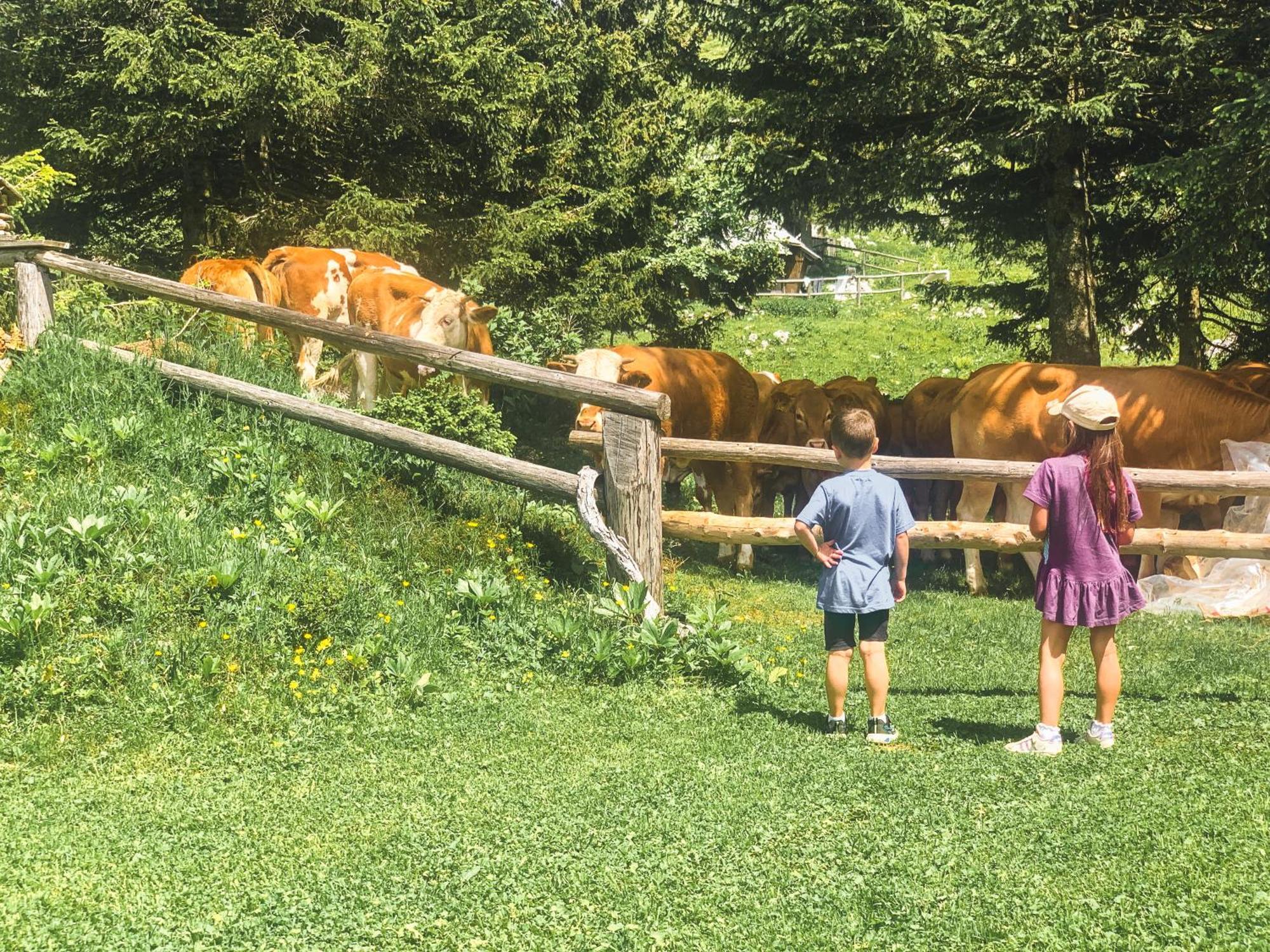 Velika Planina - Chalet Stane - Alps Stahovica Extérieur photo